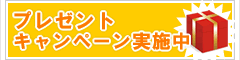 プレゼントキャンペーン実施中